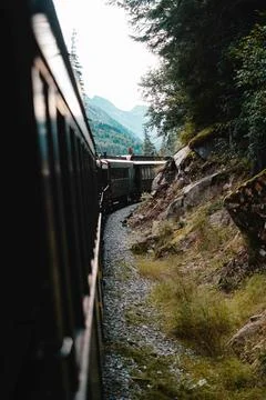 Vertical shot of train on an alpine landscape setting with trees and mountain Stock-Fotos