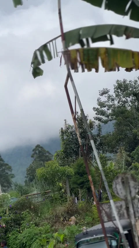 Vertical shot of train ride on misty day in Sri Lanka, cinematographic close up Video stock 261667859