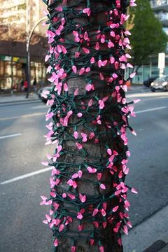 Vertical shot of a tree by the road decorated with string lights in Vancouver Stock Photos