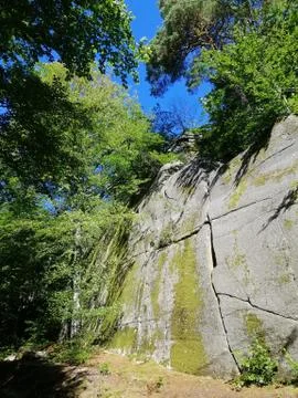 Vertical shot of trees and plot on rocks in Norway Stock Photos