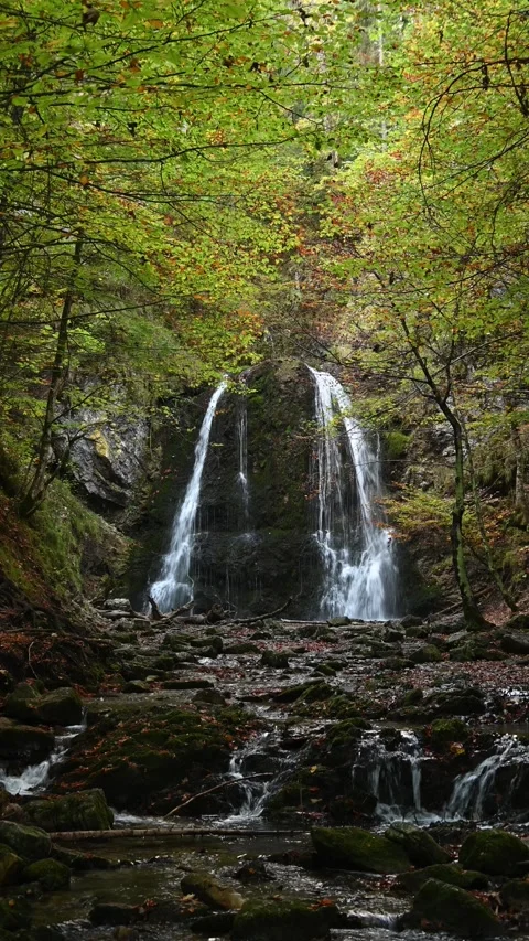 Vertical shot of a twofold waterfall in a forest in autumn in the evening Video stock 260902897