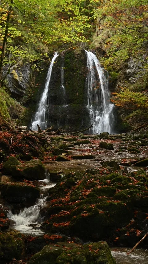 Vertical shot of a twofold waterfall in a forest in autumn in the evening Stock-Footage 260902973