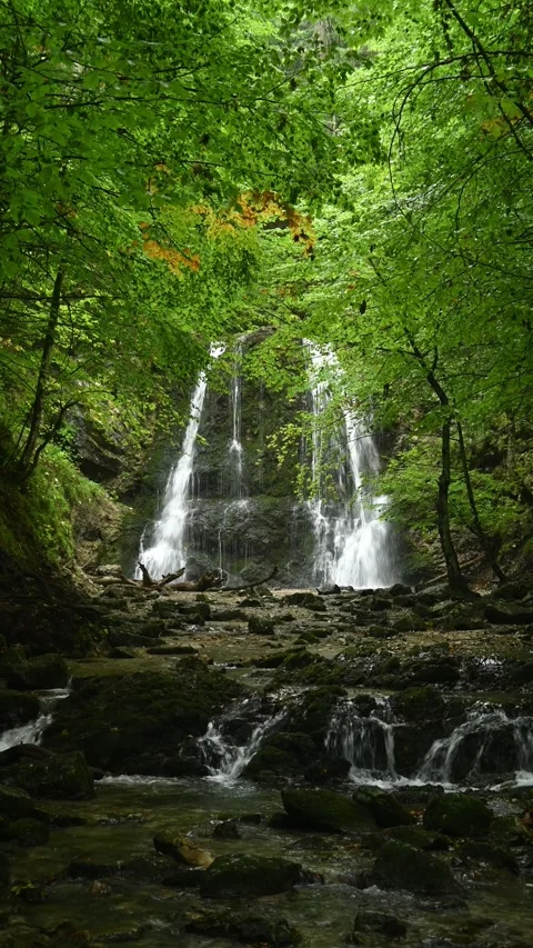 Vertical shot of a twofold waterfall in a rainy summer forest in the evening Video stock 260902355