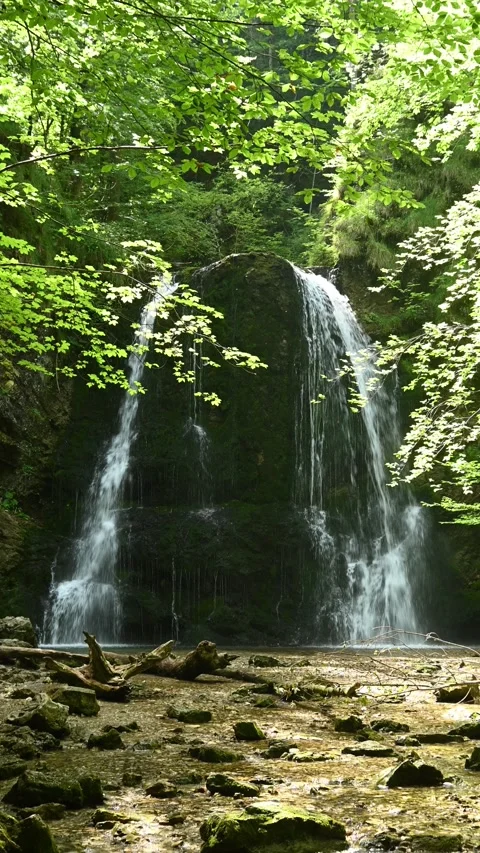 Vertical shot of a twofold waterfall in a summer forest Stock-Footage 260897758
