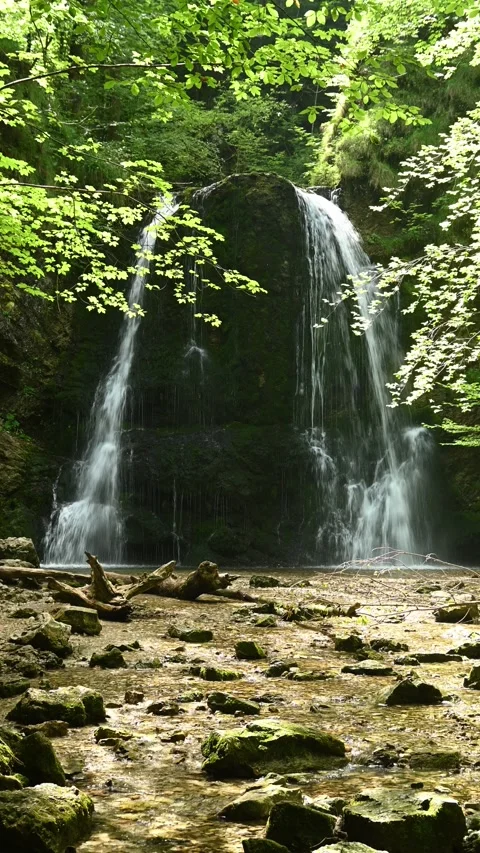 Vertical shot of a twofold waterfall in a summer forest Stock-Footage 260897864