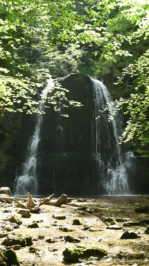 Vertical shot of a twofold waterfall in a summer forest, midday Video stock 260898066