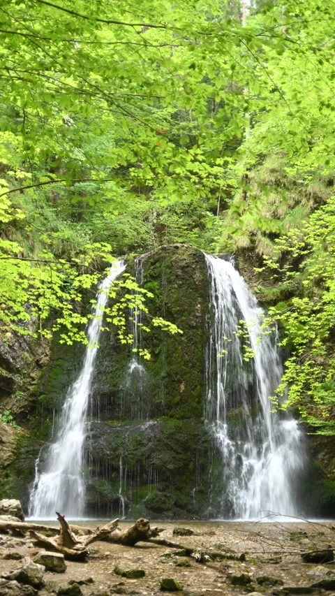 Vertical shot of a twofold waterfall in a summer forest Stock-Footage 260898876