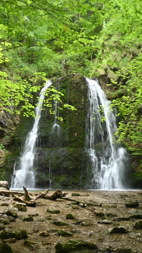 Vertical shot of a twofold waterfall in a summer forest Stock-Footage 260898885