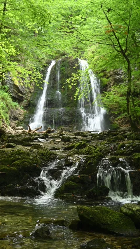 Vertical shot of a twofold waterfall in summer Video stock 260898982
