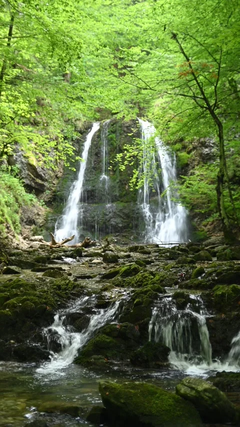 Vertical shot of a twofold waterfall in summer Stock-Footage 260899147