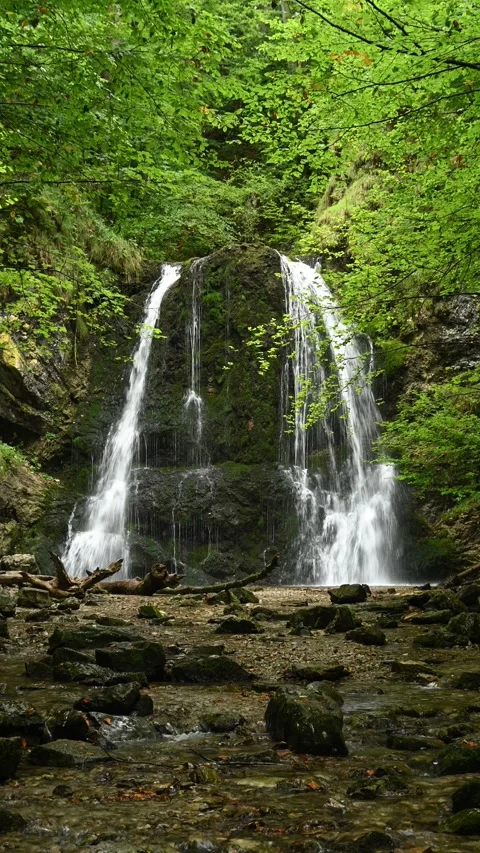 Vertical shot of a twofold waterfall in a summer forest Stock-Footage 260901549