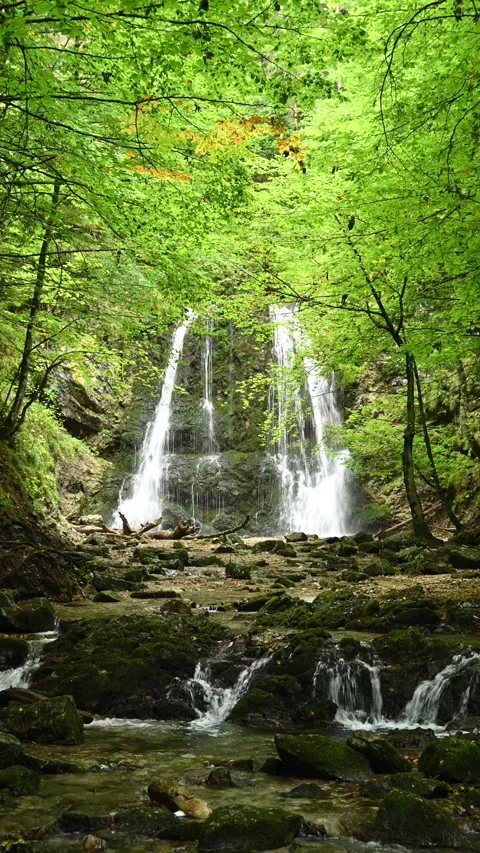 Vertical shot of a twofold waterfall in a summer forest Stock-Footage 260901707