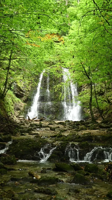 Vertical shot of a twofold waterfall in a summer forest Stock-Footage 260901748