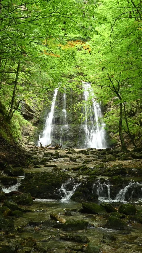 Vertical shot of a twofold waterfall in a summer forest Stock-Footage 260902019