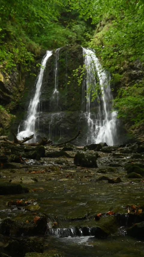Vertical shot of a twofold waterfall in a summer forest in the evening Stock-Footage 260902153