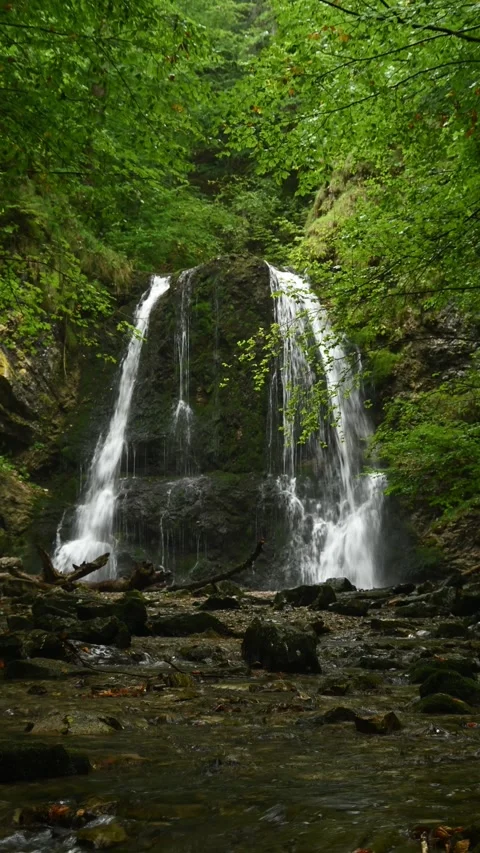 Vertical shot of a twofold waterfall in a summer forest in the evening Stock-Footage 260902279