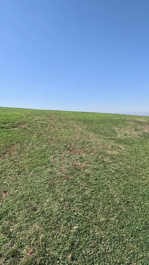 Vertical shot of walking through a meadow on the top of plain Stock Footage 296489059