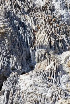 Vertical shot of a wall of salt eroded by water Foto stock