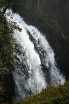 Vertical shot of a waterfall in the forest 스톡 사진