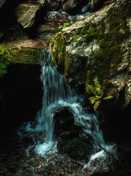 Vertical shot of a waterfall in a forest surrounded by nature Foto stock