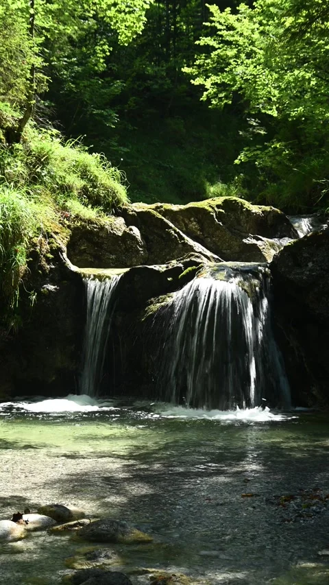 Vertical shot of waterfall from a mountain stream in a forest in summer Video stock 288500908