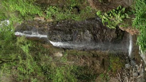 Vertical shot of waterfall in rainforest. Stock Footage 182801940