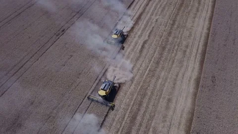 Vertical shot when harvesters start collect harvest in the field summer Video stock 120118076