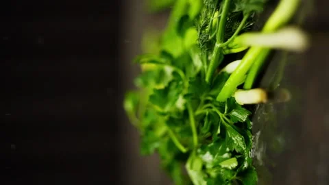 A vertical shot in which a large bunch of greenery falls on the table. Stock Footage 269036014