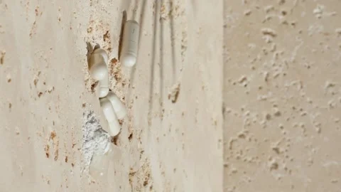 Vertical shot of white pills or drug capsules in fern shadow on beige background Stock Footage 229499430