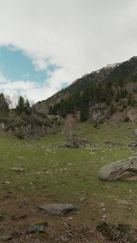 Vertical shot of wild mountain slope in Sant Maurici, Spain Stock Footage 342842635