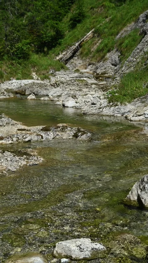 Vertical shot of a wild mountain stream in late summer Stock Footage 260882656