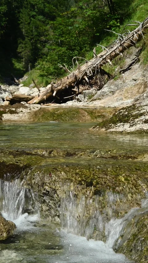 Vertical shot of a wild mountain stream in late summer Stock-Footage 260882733