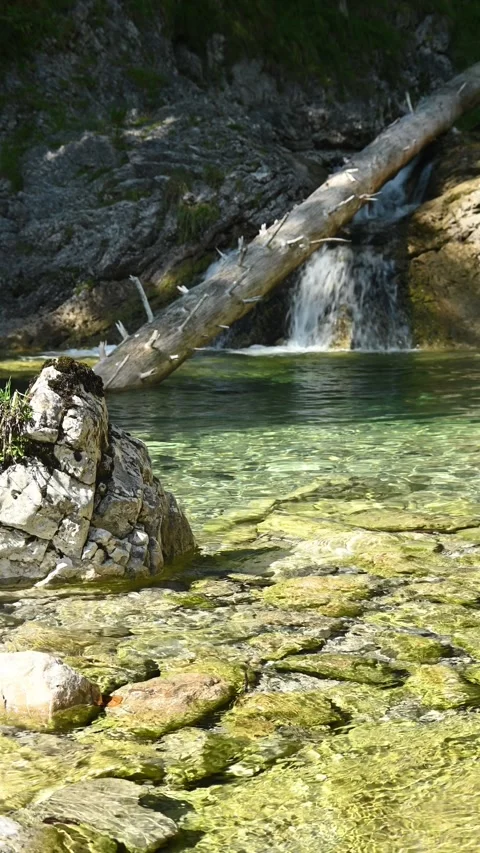 Vertical shot of a wild mountain stream in late summer Stock-Footage 260882807
