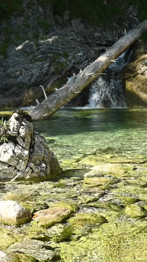 Vertical shot of a wild mountain stream a waterfall, slow motion Stock Footage 260884551