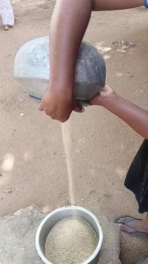 Vertical Shot of Wind Winnowing Sesame Seeds, Sri Lanka Видео 340114766