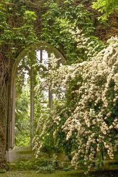 Vertical shot of a window inside the Val de Grasse church in Paris Stock Photos