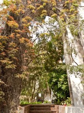 Vertical shot of a window inside the Val de Grasse church in Paris Stock Photos