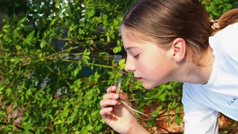 Vertical shots of a girl with a lizard. Stock Footage 154750040