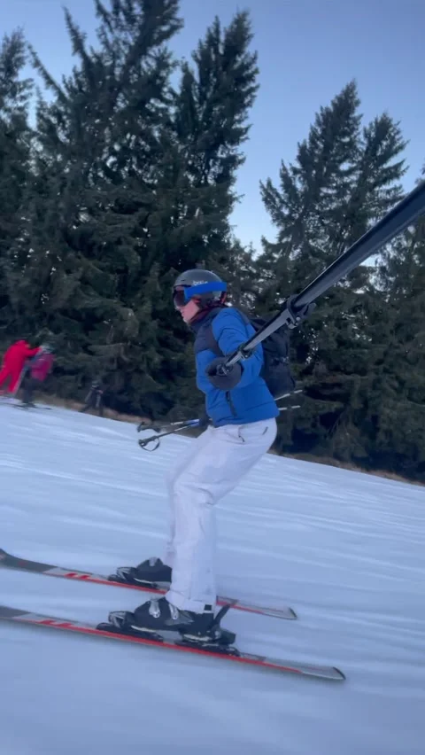 Vertical skier riding past pine trees on snowy winter slope Stock Footage 325647633
