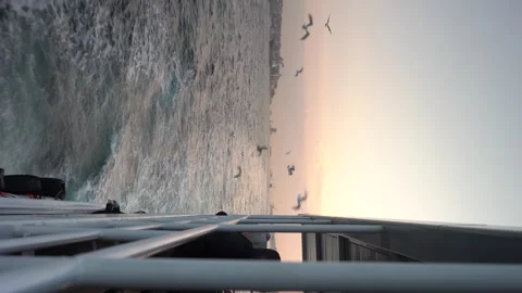 Vertical - Skybound Seagulls: Istanbul's Bosphorus Takes Wing Stock Footage 252627170