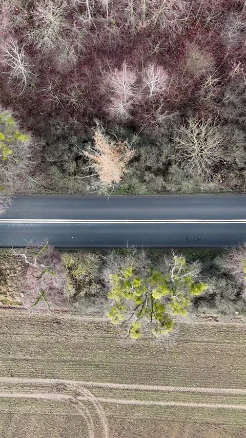 Vertical Slow Aerial Top Down Pan Right to Left Over Empty Country Road Video stock 323875477
