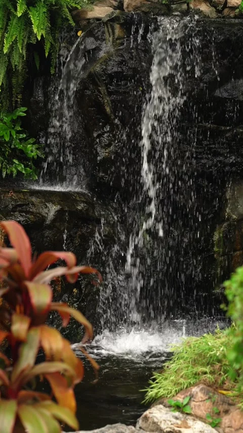 Vertical slow motion 120fps of small waterfall on black rocks surrounded by Stock Footage 290497536