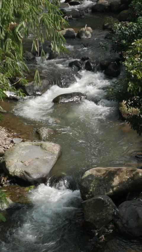 Vertical slow motion of a beautiful flowing mountain river. Stock Footage 336316642
