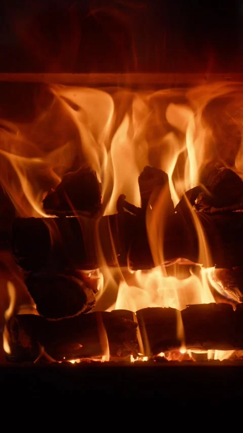 Vertical Slow Motion of Burning Fireplace with Stacked Wood Logs Video stock 328833824