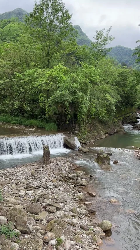 Vertical Slow Motion Cascade Waterfall In Lush Green Forest Canyon 库存影片 335256824