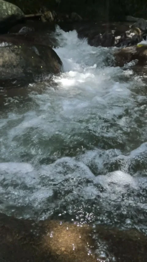 Vertical slow motion of a clear mountain river flowing through a rocky cascade Stock Footage 321265841