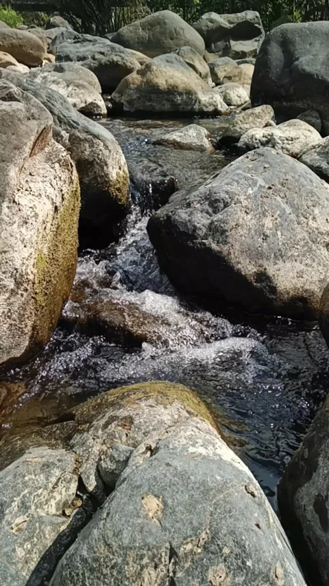 Vertical slow motion clear mountain stream flowing around smooth river rocks Stock-Footage 342965029