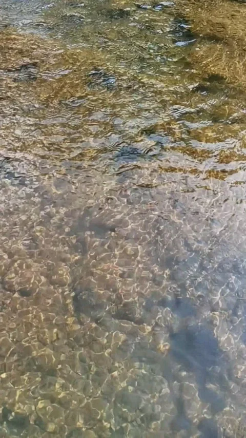 Vertical slow motion of clear river stream water flowing over stony bed with Stock Footage 342966192