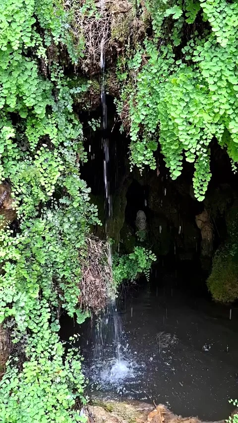 Vertical slow motion close up of a small natural waterfall stream flowing do Stock Footage 340481646