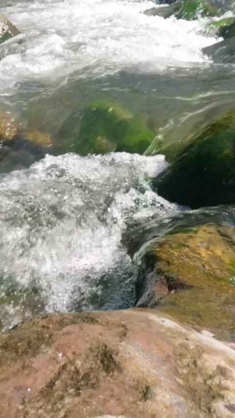 Vertical of slow motion of a crystal rocky mountain river flowing rapidly Stock Footage 320920654
